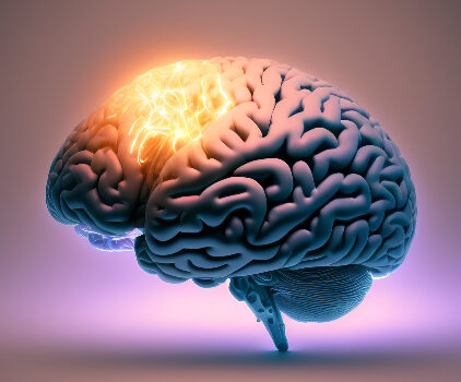 Cerebro Activo